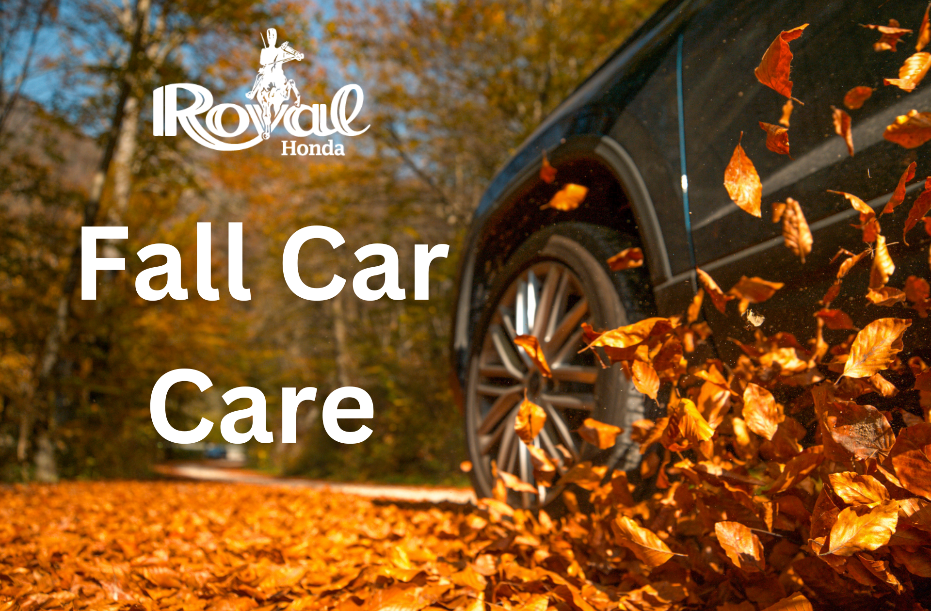 Fall Car Care Month Royal Honda