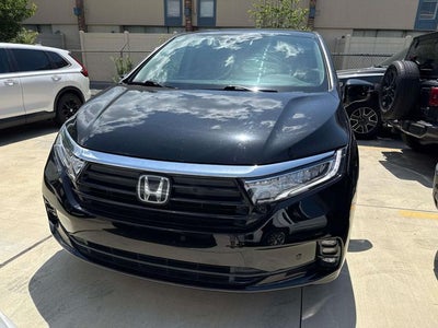2023 Honda Odyssey Touring