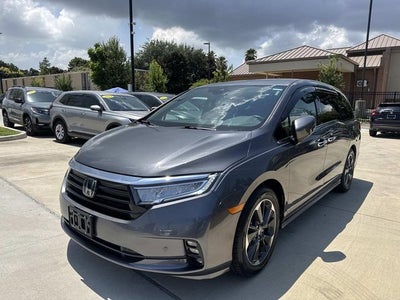 2024 Honda Odyssey Elite