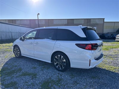 2026 Honda Odyssey Elite