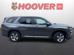 2024 Honda Pilot EX-L 8 Passenger