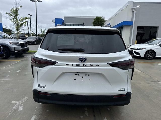 2024 Toyota Sienna XLE 8 Passenger
