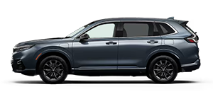 Royal Honda in Metairie LA