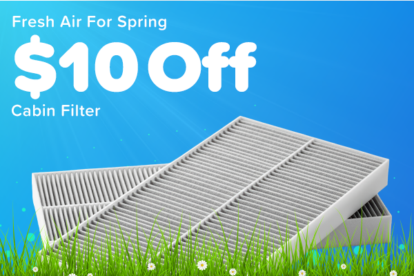 Fresh Air For Spring