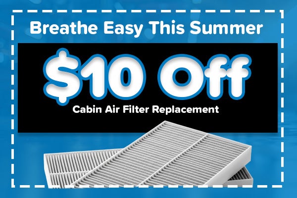 Cabin Filter Special